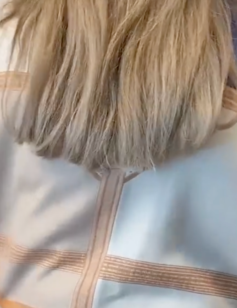 Image of the wrap from the back